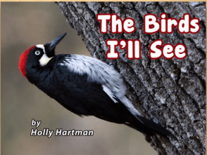 The_birds_I'll_see