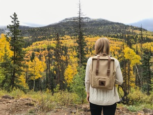 Adventurist Backpack