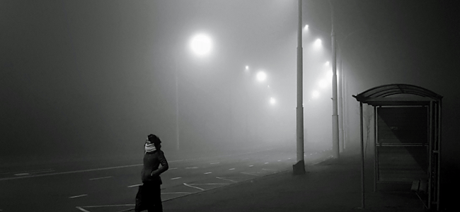 Артём Мякинник on Unsplash
      