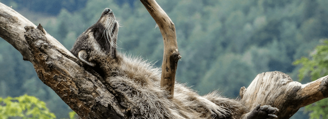 Matthias Speicher on Unsplash