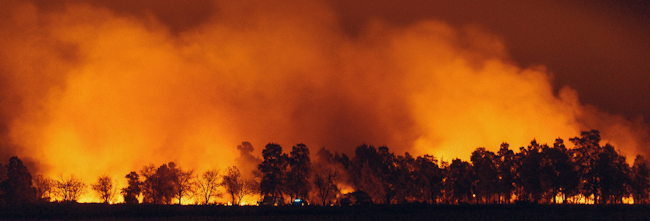 Fachy Marin on Unsplash