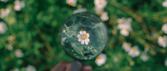 Abyan Athif on Unsplash
